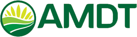 AMDT