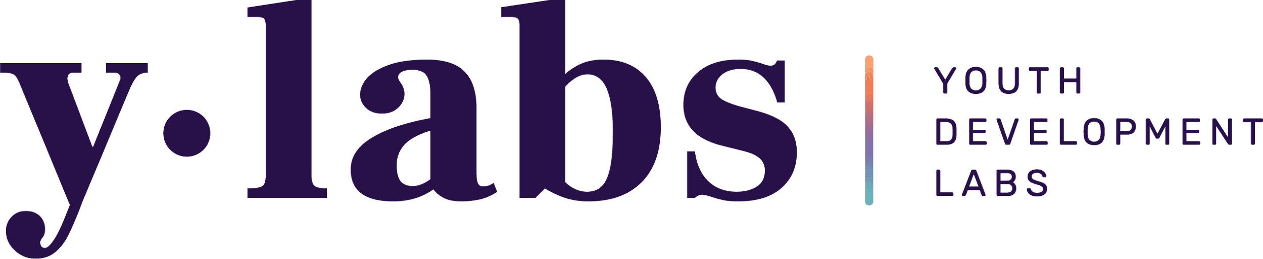 Y-Labs Youth Development Labs